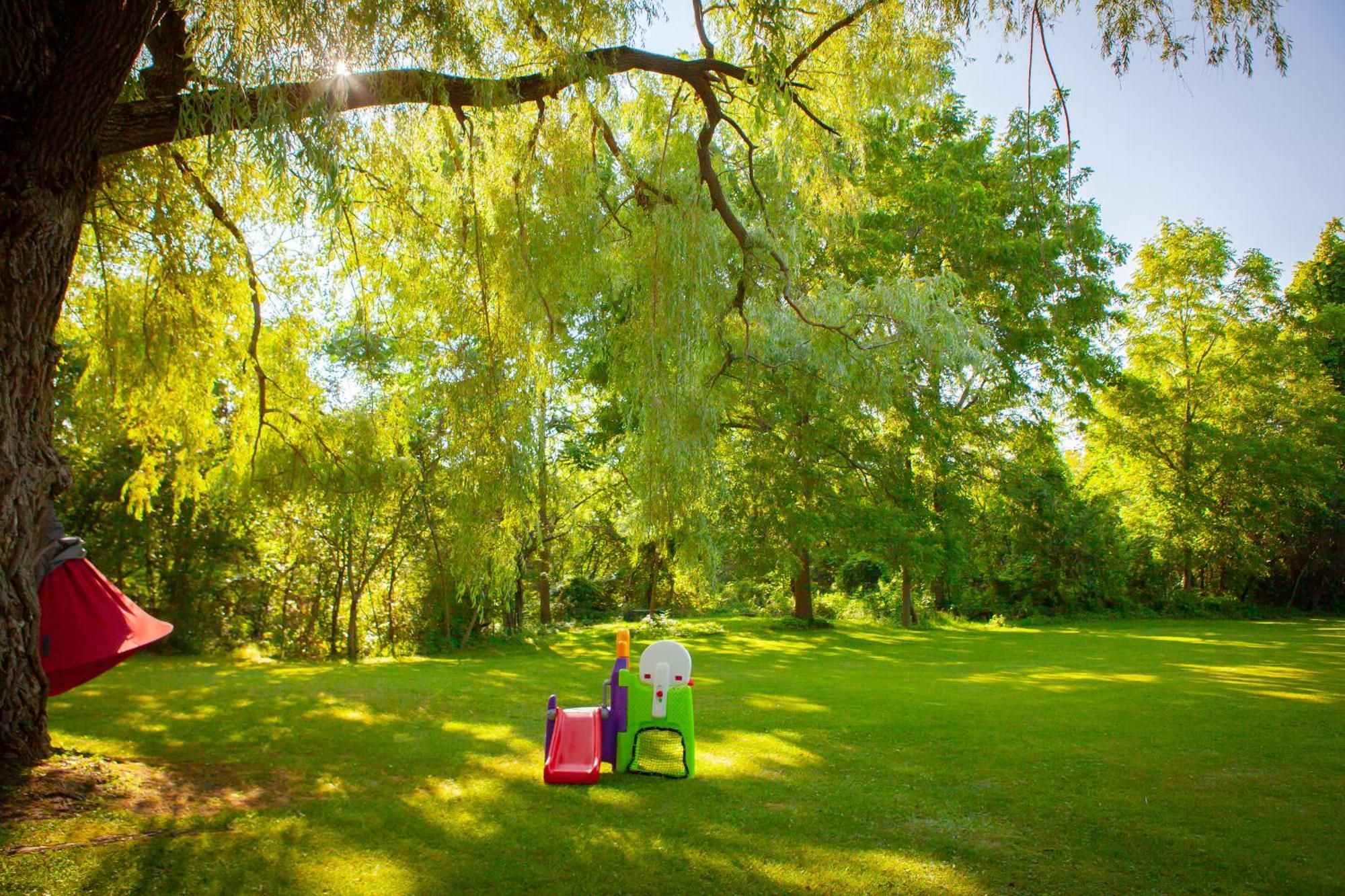 Nature Oasis Bar Room Dundas Dış mekan fotoğraf