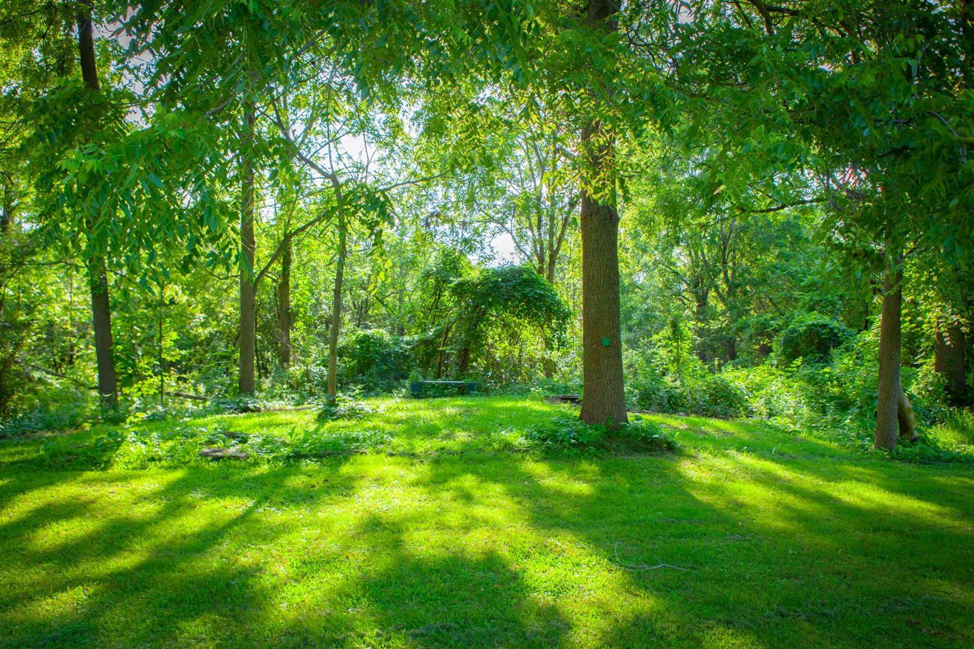 Nature Oasis Bar Room Dundas Dış mekan fotoğraf